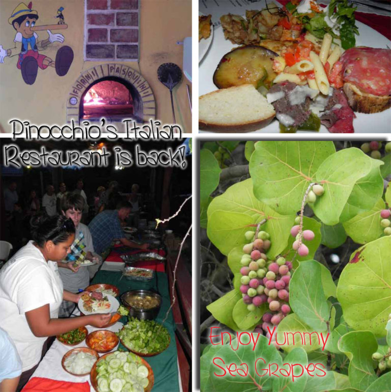 Pinocchio’s Italian Restaurant is back!