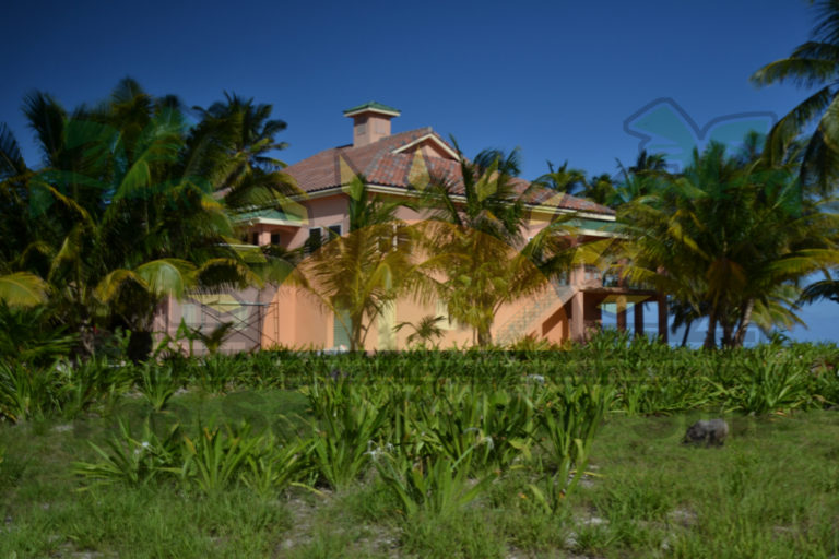 Update – John McAfee still on the run – Speaks to The San Pedro Sun