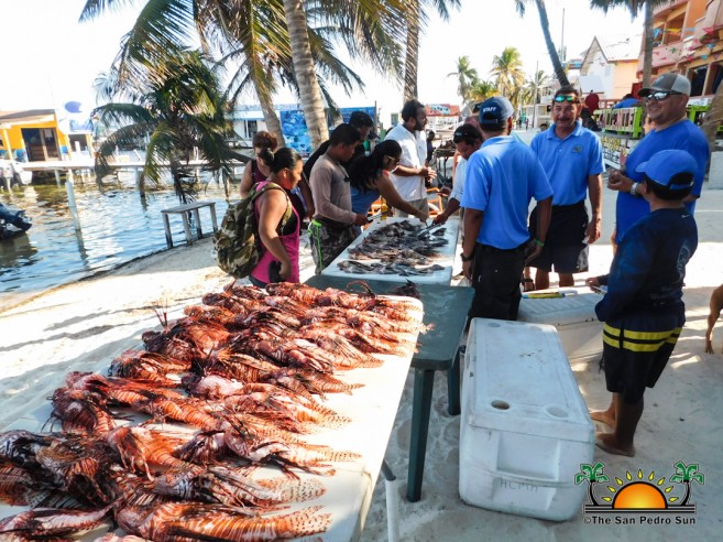 Lionfish-Tournament-Hol-Chan-Marine-Reserve-Reef-Week-5