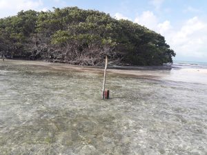 Permit Given to Survey