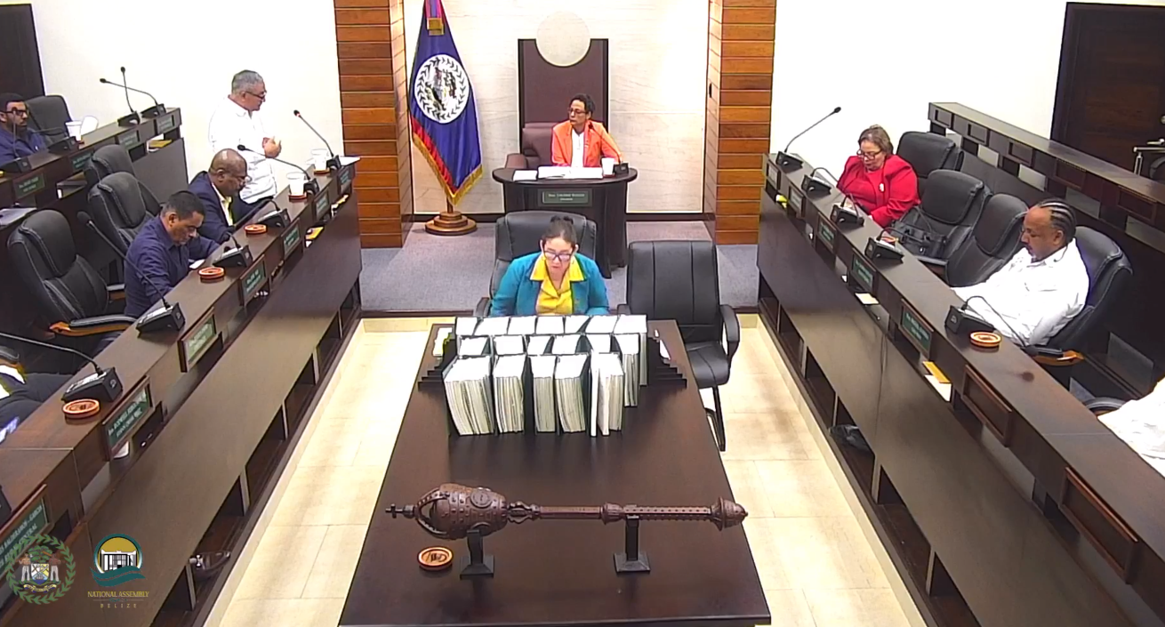 $1.9 billion 2026–2027 national budget debated in the National Assembly