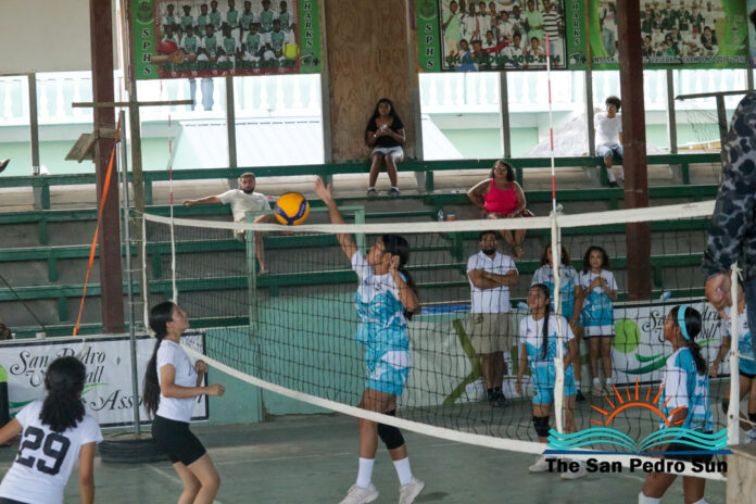 Shark Cup Volleyball Tournament concludes with exciting finals. (12)