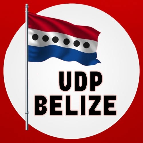 UDP Receives 90 Applications Countrywide for 2027 Municipal Elections
