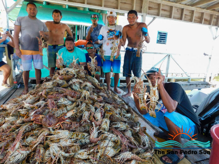 2026 Caribbean Spiny Lobster Season Opens-3