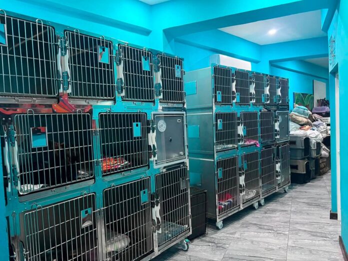 Donor Support Brings New Kennels and Catteries to SAGA Humane Society (3)