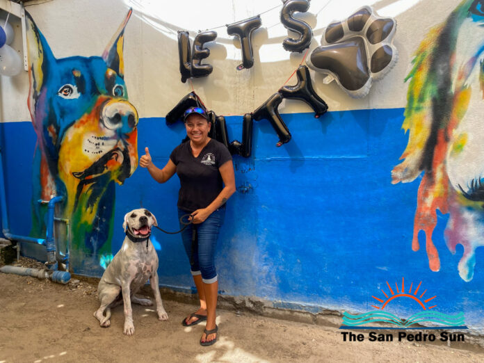 Pampered Paws celebrates 25 years of service in San Pedro-3