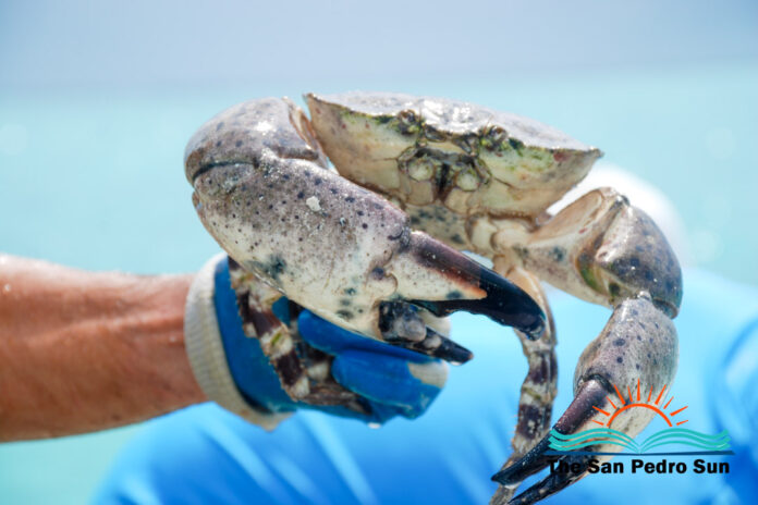 Stone Crab Special License Conditions & VMS Installation Schedule-2