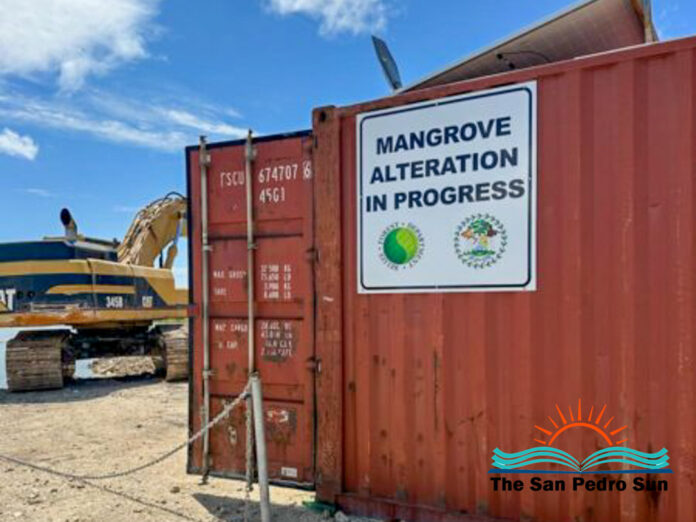 Mangrove Alteration Requires Prior Authorization, Forest Department Warns-6